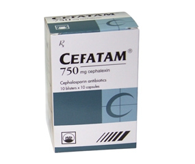 CEFATAM 750