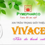 Vivace- Khởi Sắc Thanh Xuân